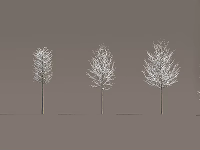 Winter trees snow trees 3d model