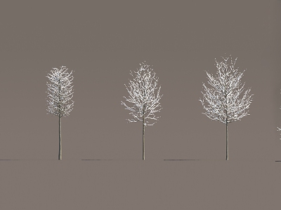 Winter trees snow trees model