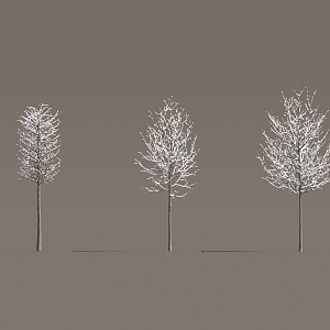 Winter trees snow trees 3d model