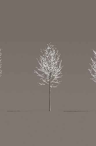 Winter trees snow trees 3d model