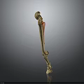 3D Rendered Human Long Bone Skeleton with Red Highlighted Anatomical Structure on Gray Background