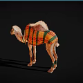 Camel With Colorful Striped Blanket And Leather Harness Standing On Black Background