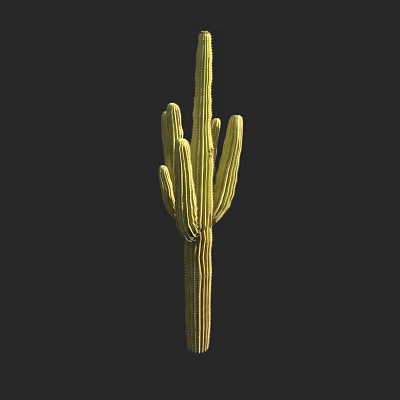 Giant Pillar Giant Pillar Cactus Tropical Plants Desert Plants 3d model