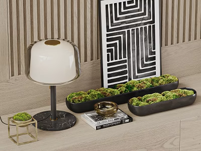 Modern Decorative Ornament Set With White Table Lamp Moss Plants Black Planters And Geometric Art 3d model