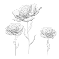 Black and white line art three flowers with detailed petals and stems in sketch style