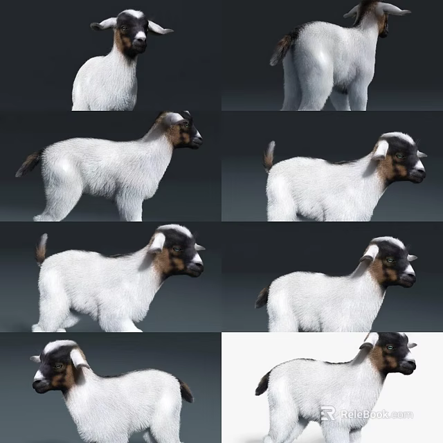 White Goat 3D Model Displayed In Multiple Angles And Different Poses 3d model 
