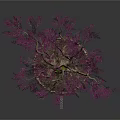 Potted Tree With Purple Leaves Thick Trunk And Exposed Roots On Circular Stone Base 3d model