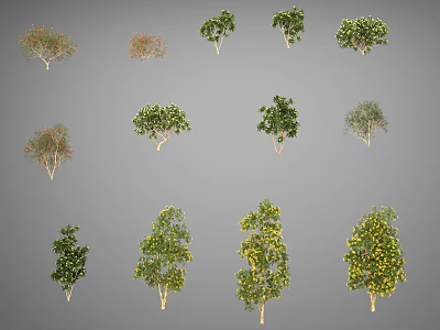 Different Types Of Arbor Trees Showcasing Various Leaf Colors Shapes And Sizes 3d model