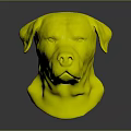 Rottweiler Head Sculpture With Black And Tan Coat On Gray Background