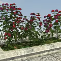 Vibrant Red And Purple Flowers With Green Leaves In Stone Planter Under Blue Sky
