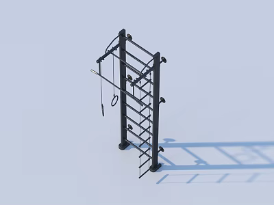 Multi functional Sports Equipment with Ladder Structure and Hanging Rings for Outdoor Fitness Training 3d model