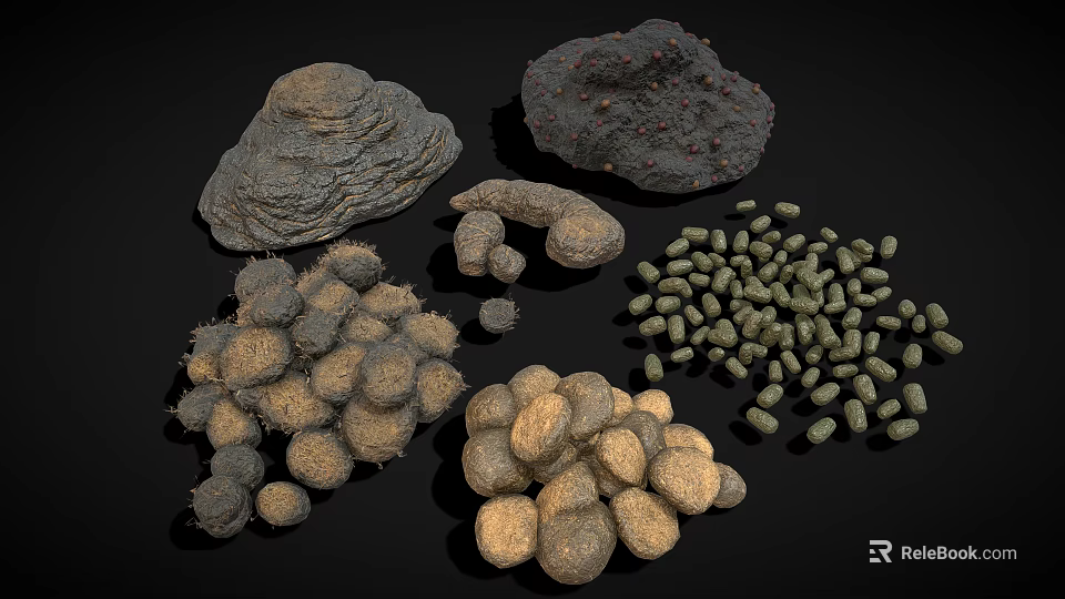 Diverse Collection of Animal Droppings with Varied Shapes Sizes and Textures 3d model 