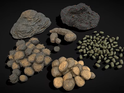 Diverse Collection of Animal Droppings with Varied Shapes Sizes and Textures 3d model