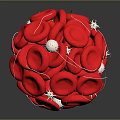 Innovative Medical Device Visualizing Red Blood Cells and White Blood Cells Connections