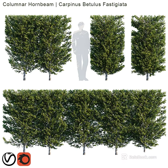 Decorative Ornament Set With Multiple Green Leafy Trees For Home Decor 3d model 