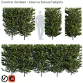 Decorative Ornament Set With Multiple Green Leafy Trees For Home Decor