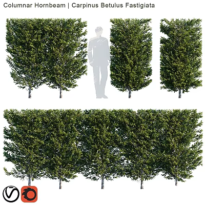 Decorative Ornament Set With Multiple Green Leafy Trees For Home Decor 3d model