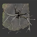 Decorative Dry Tree With Detailed Twisted Branches And Mossy Stone Base