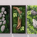 Three Framed Living Plant Walls with Stones Wooden Log and Decorative Rocks