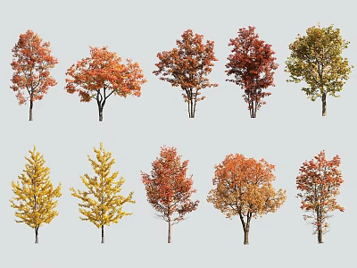 Vibrant Autumn Deciduous Trees with Red Yellow Orange Leaves and Diverse Shapes 3d model