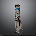 Meerkat Standing Upright Wearing Blue Bow Tie Light Brown And White Against Dark Background