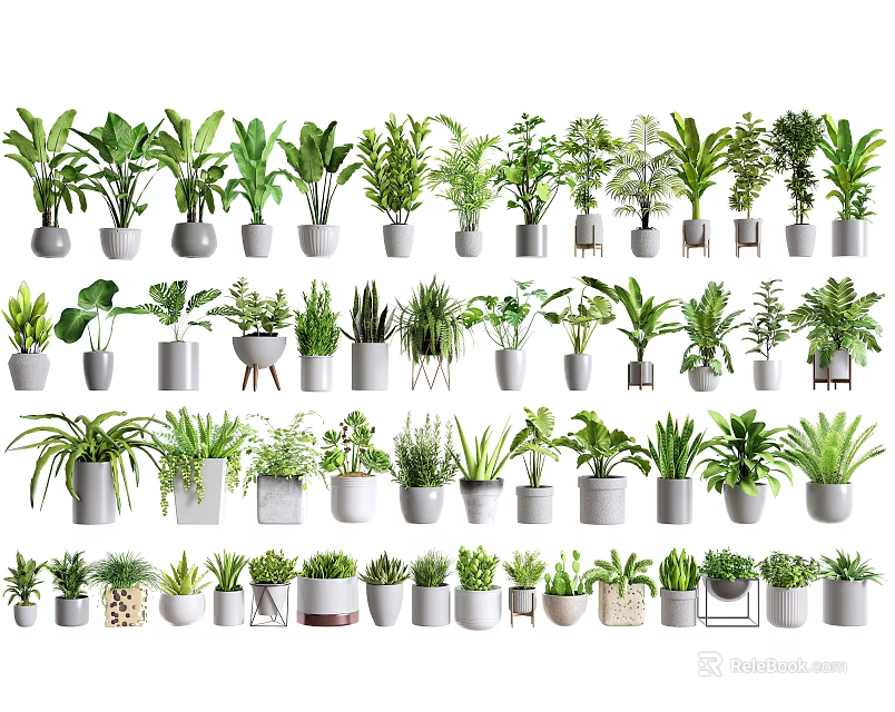 Various Bonsai Potted Plants Collection With Different Green Species And Decorative Pots 3d model 