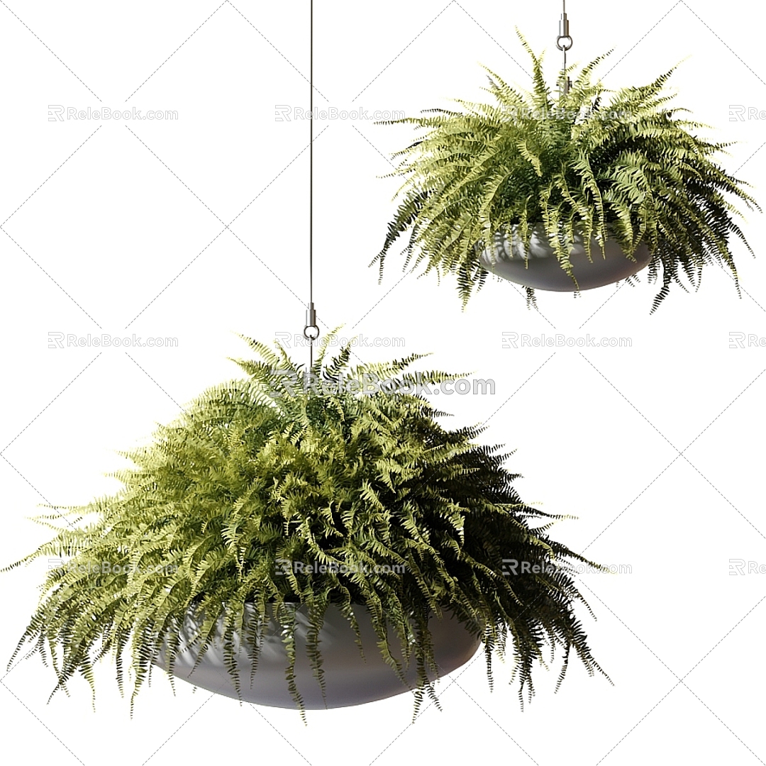 hanging orchid hanging basket hanging green plants 3d model