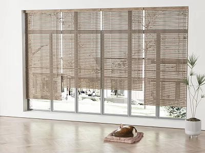 Bamboo Blinds on Window in Indoor Room With Wooden Floor Cat Cushion and Potted Plant 3d model