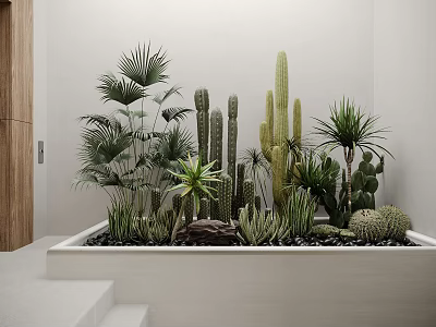 Lush Indoor Desert Plants Featuring Cacti Succulents and Palm Leaves in White Rectangular Planter 3d model