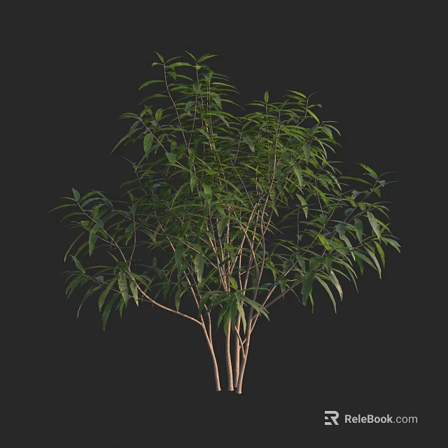 Lush Green Shrub With Multiple Branches And Healthy Foliage In Natural Setting 3d model 