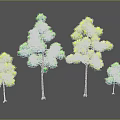 Green Leafy Bushes In Various Sizes With Lush Foliage For Garden Design