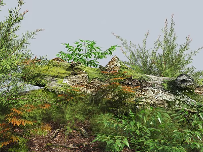 Lush Garden Bushes Surrounding Moss Covered Log With Green Leaves And Natural Vegetation 3d model