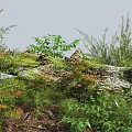 Lush Garden Bushes Surrounding Moss Covered Log With Green Leaves And Natural Vegetation