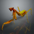 Yellow and Orange Mantis Standing with Long Legs on Gray Background with Reflection 3d model
