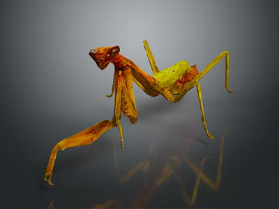 Yellow and Orange Mantis Standing with Long Legs on Gray Background with Reflection 3d model