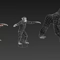 Various Primate Species Including Orangutan Chimpanzee Gorilla And Baby In Standing Poses