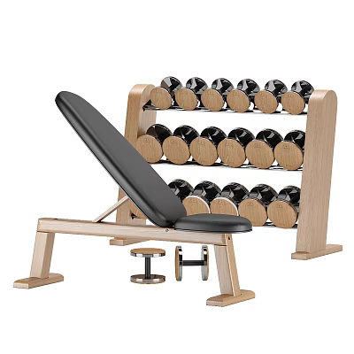 Entertainment Room Featuring Wooden Dumbbell Rack Weight Bench And Multiple Dumbbells 3d model