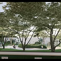 Park Design With Curved Paths Playground Greenery And Circular Landscaped Areas