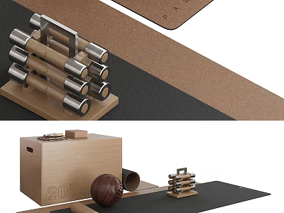 Home Gym Fitness Equipment With Dumbbells Mat Medicine Ball And Box 3d model