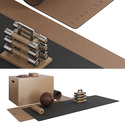 Home Gym Fitness Equipment With Dumbbells Mat Medicine Ball And Box 3d model