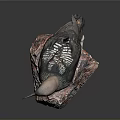 Reddish Brown Headed Bird With Black And White Striped Body Perched On Red Gray Rock