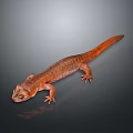 Realistic Brown Salamander With Long Tail Small Limbs And Detailed Texture On Gray Background 3d model