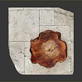 Natural Wooden Stump Displaying Tree Ring Texture On Stone Slab Surface