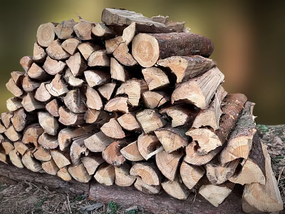 A pile of wood, wood, wood, wood, wood, wood, wood, wood, tree branches, tree trunks 3d model