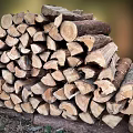 Split Hardwood Tree Logs Stacked as Firewood for Winter Use Preparation