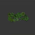 Lush Green Palm Trees And Tropical Plants In Decorative Landscape Arrangement