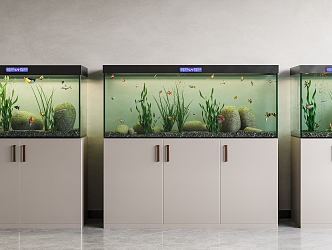 Modern fish tank fish tank aquarium 3d model