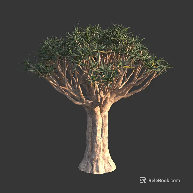 Unique Dragon Blood Tree With Thick Trunk And Umbrella Shaped Branches 3d model
