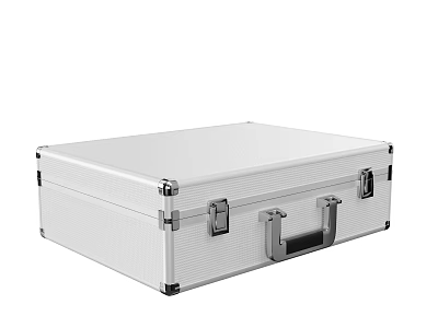 Durable Commercial Equipment Silver Aluminum Storage Case With Secure Lockable Handles 3d model