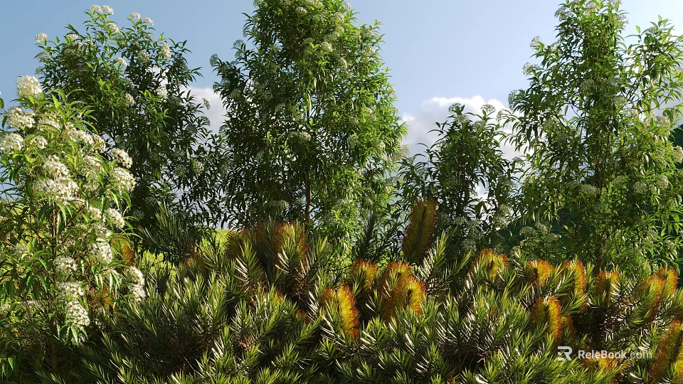 Diverse Garden Shrubs With Green And Yellow Foliage In Landscaped Outdoor Space 3d model 